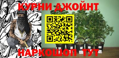 молекула духа Бузулук