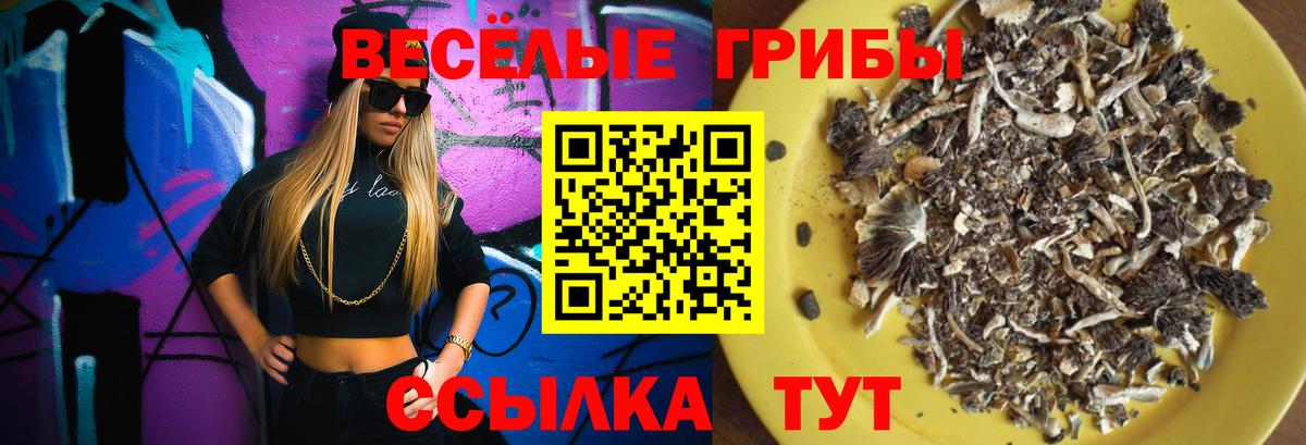 продажа наркотиков  Вход с VPN  Псилоцибиновые грибы Magic Shrooms  Балашов  Галлюциногенные грибы мухоморы 